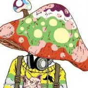 きのこの画像