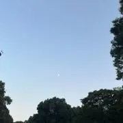 さひの画像