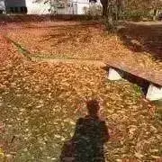 タリユンノの画像