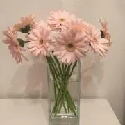 miho1025