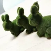 零結雨の画像