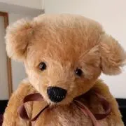 すみれの画像