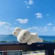 moca＊°の画像