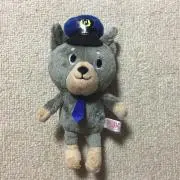 Image of キムカメ