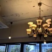 미유プロフ必読の画像
