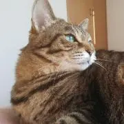 ムイの画像