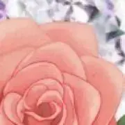 秋菜