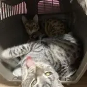 にー❤︎