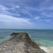 ＴＫ