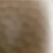はややま