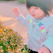 MIRAI ¨̮⑅*の画像