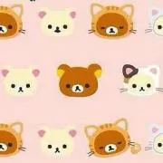 Kaco♡