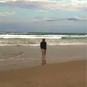 Suisの画像
