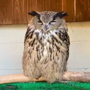 akagi.....xxxの画像