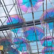 りおの画像