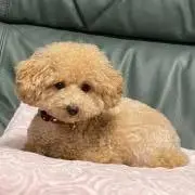 みさ☆の画像