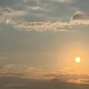くもの画像