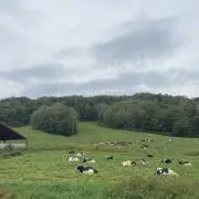 mの画像