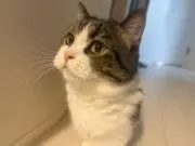135の画像
