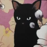 月猫☽︎‪︎の画像