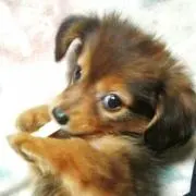 りりぃ