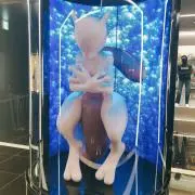 あおいの画像