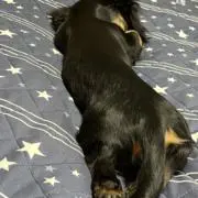 ちかの画像