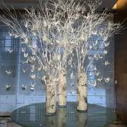 moonの画像