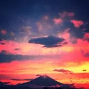 shigeの画像