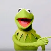 かえるるるるるの画像