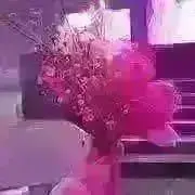 凛香(プロフ必読)