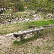 はちの画像