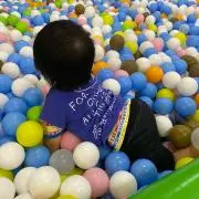 さくらの画像