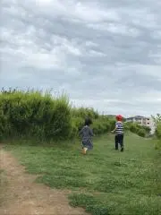 まるもの画像