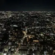 しらたまの画像