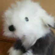 のびのびの画像