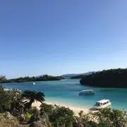 ししの画像