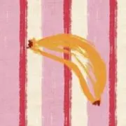 chelの画像
