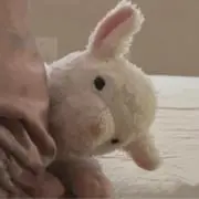 Mikaの画像