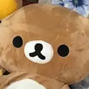 さくらの画像