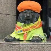 あんこの画像