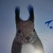 しゅう