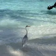 ららららの画像