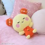 海の画像