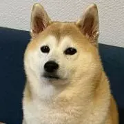 のぶの画像