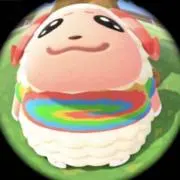 ちゃちゃまるの画像
