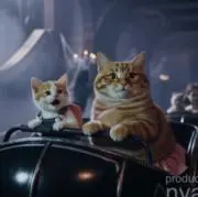 toto tokiの画像