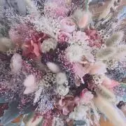 ももか