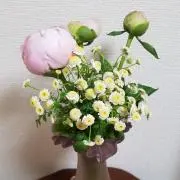 peropero candyの画像