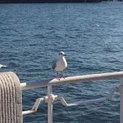 スフィア